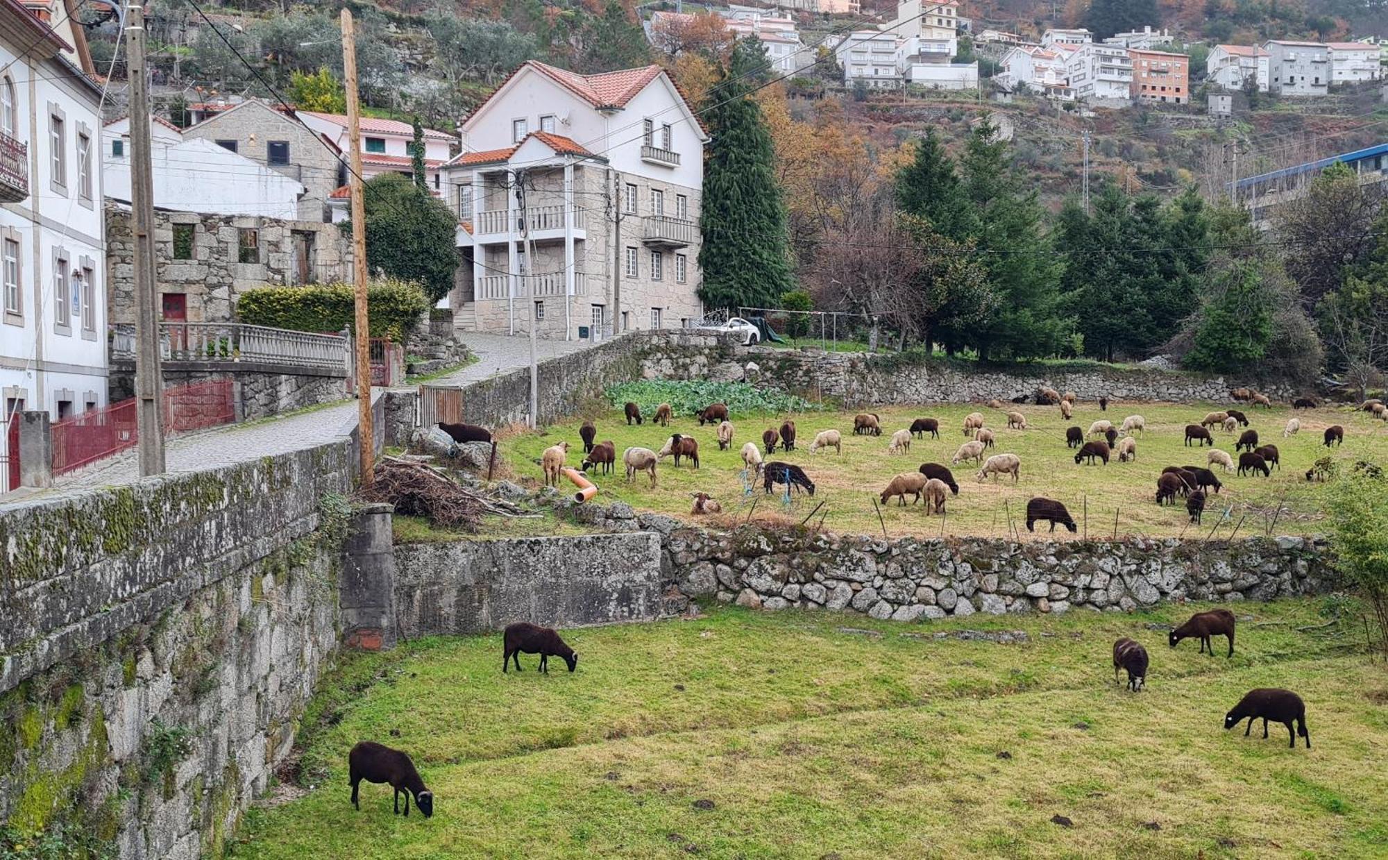 Casa Da Cantareira Loriga Buitenkant foto